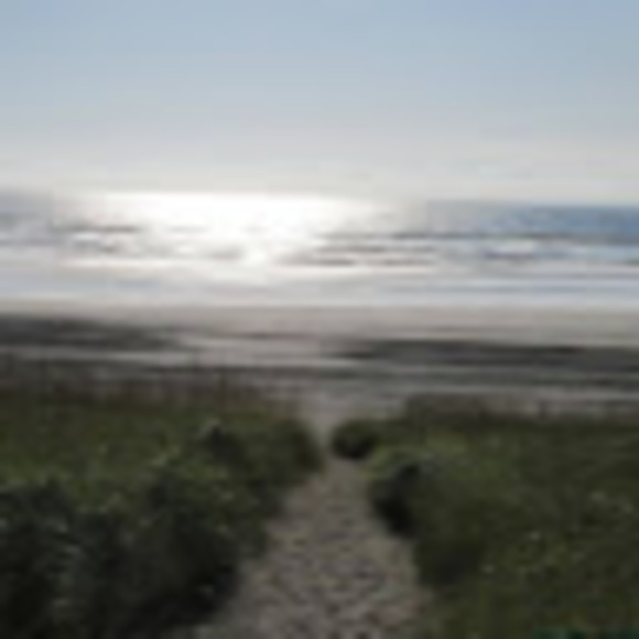 Meet your Posher, Carrie - Picture 1 of 1